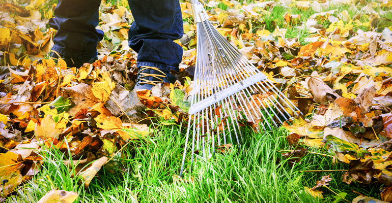 Protecting your yard from outdoor pests